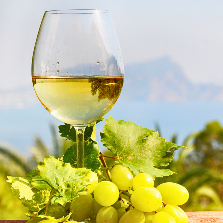 temperatura de copa del vino sylvaner