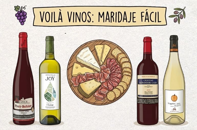 Tabla de quesos y vinos de nivel experto fáciles y rápidas