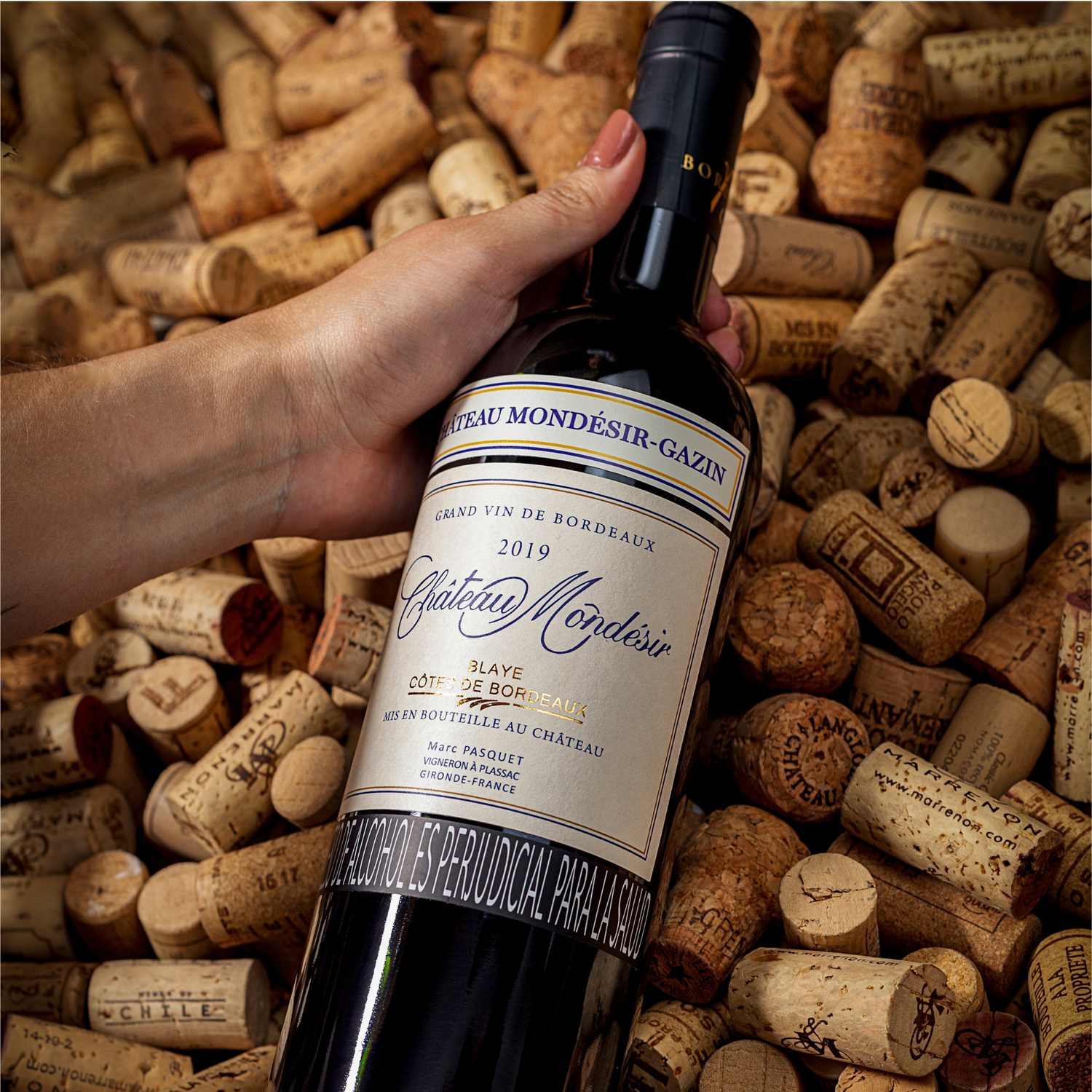 Vino Tinto - Château Mondesir